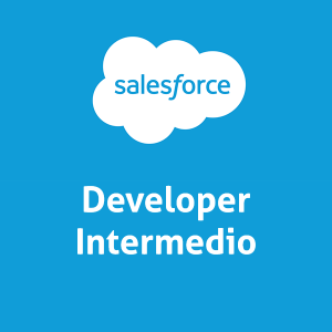 Desarrollador Salesforce Intermedio