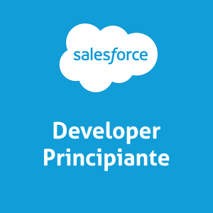 Desarrollador Salesforce Principiante